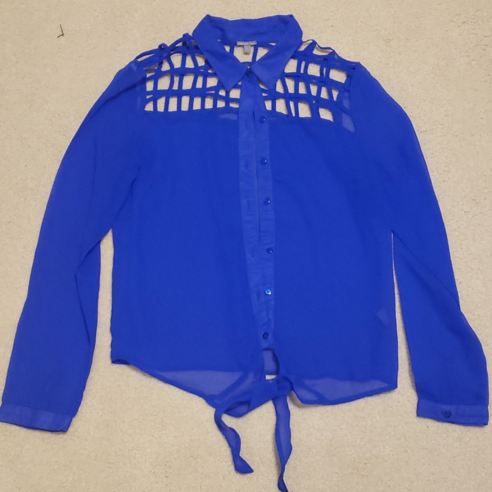 Blue Blouse